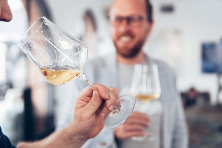 dégustation de vin : vin rouge dans un verre transparent avec lumière naturelle