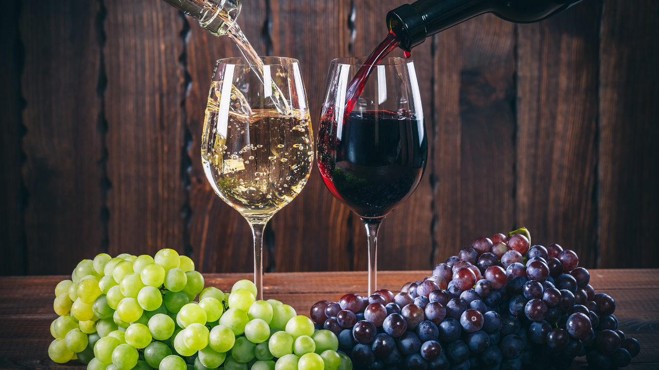 Vins