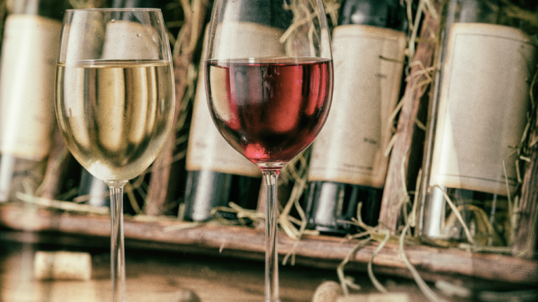 Côtes-du-Rhône : vignobles en terrasses avec paysage de la vallée du Rhône