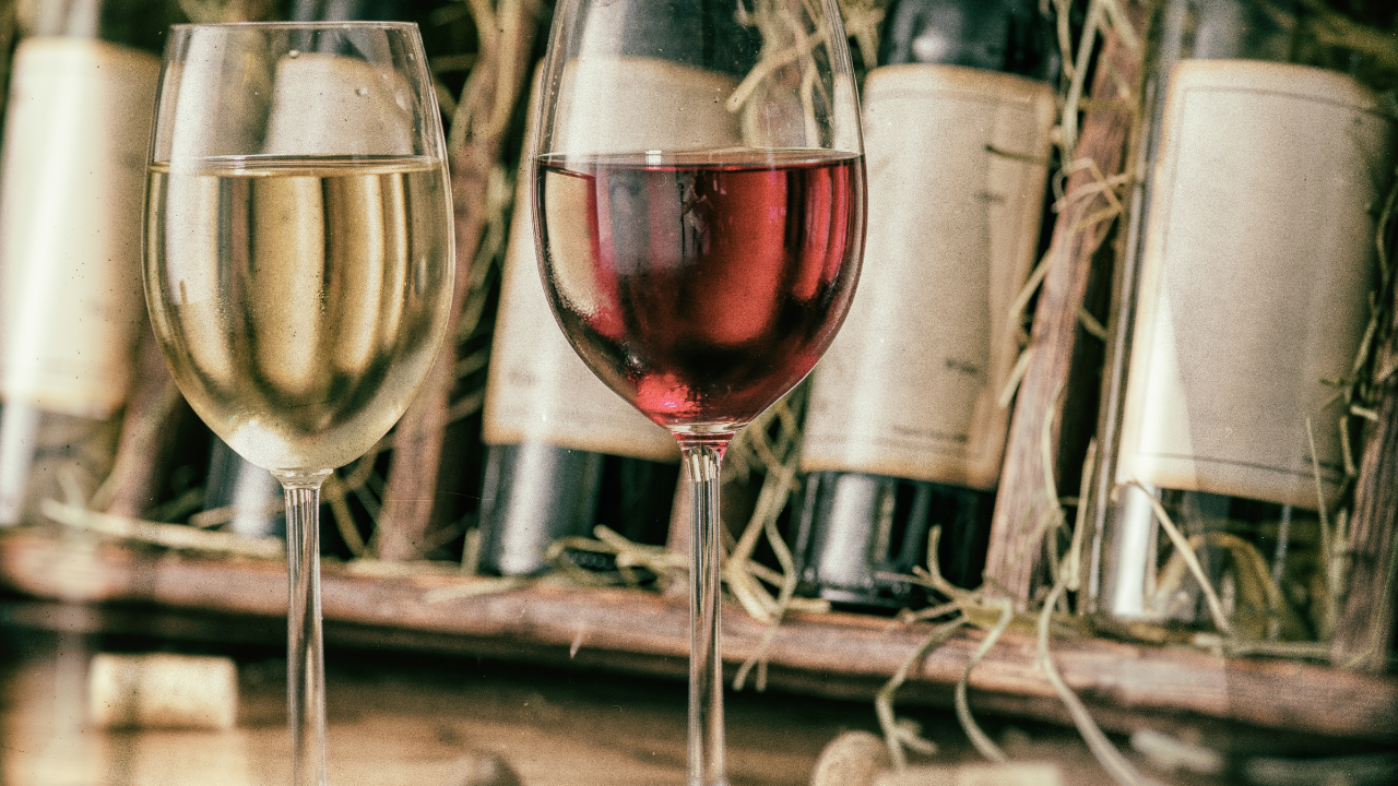 Côtes-du-Rhône : vignobles en terrasses avec paysage de la vallée du Rhône