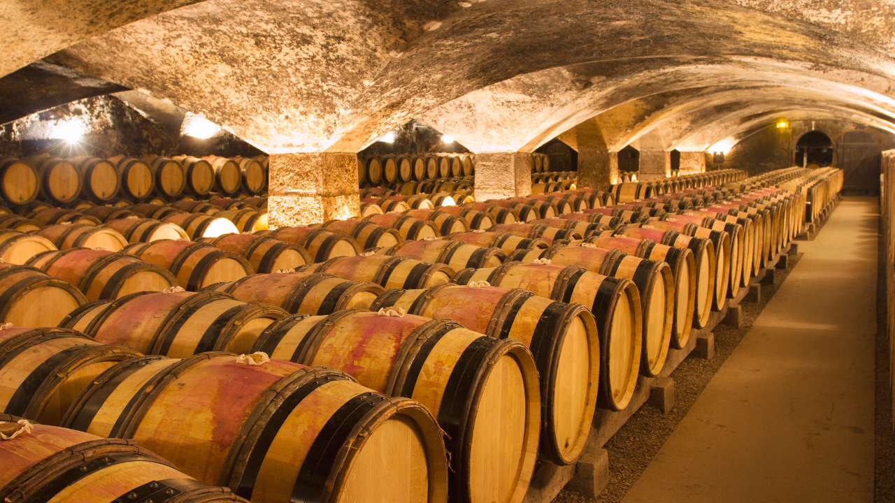 Grandes caves de Lyon