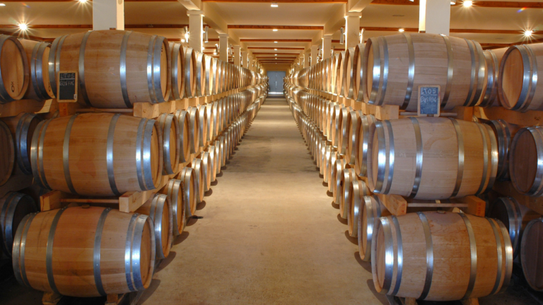 vins : sélection de bouteilles de vin dans une cave à Lyon