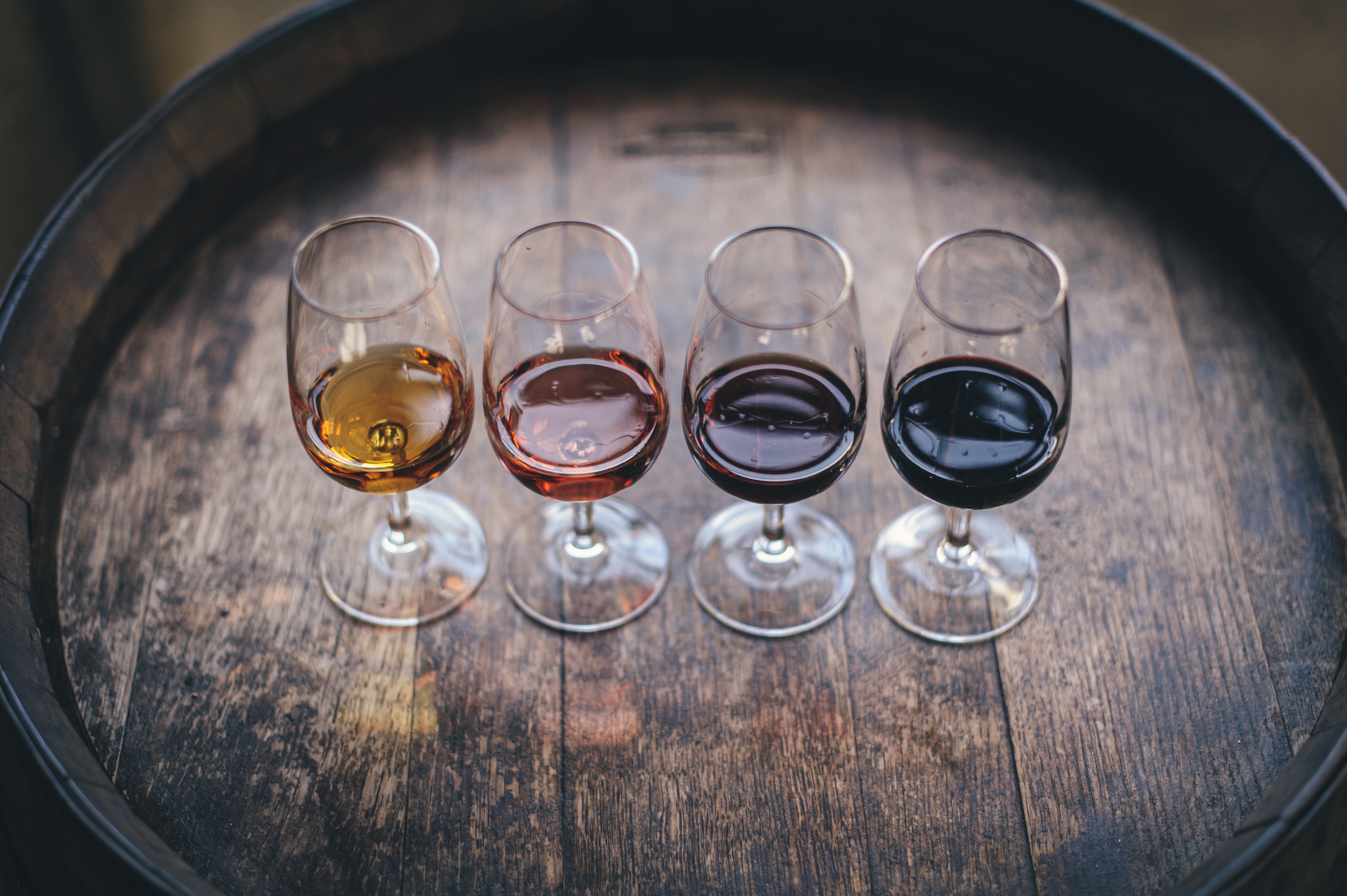 dégustation vin de château