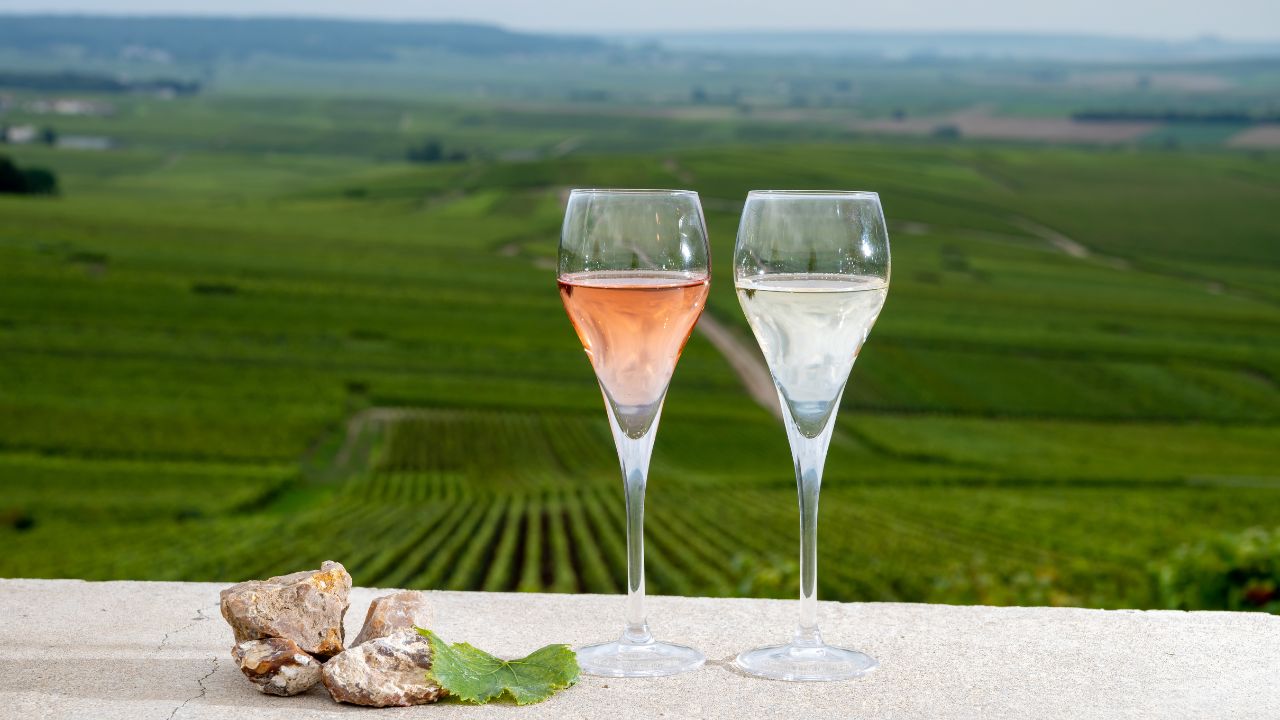 Vins du Domaine du Bagnol