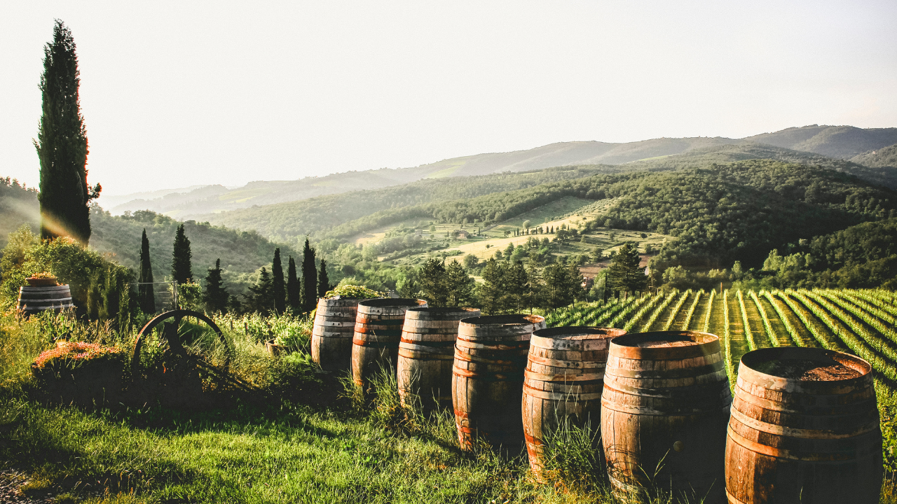 Vignoble fronsadais