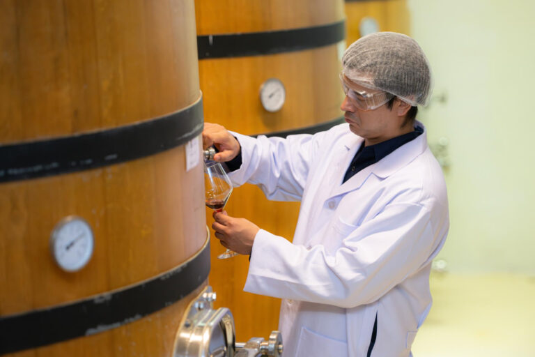 vin vs bière : illustration des matières premières et étapes de production du vin et de la bière