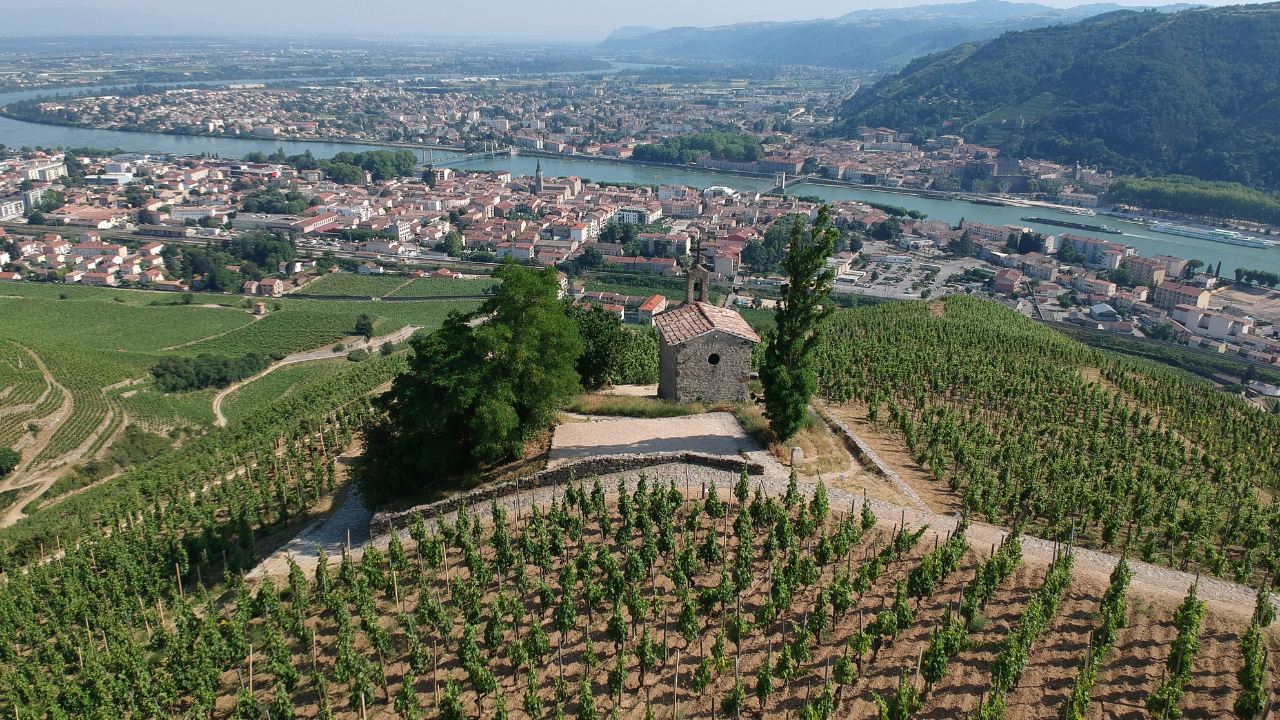 Les Côtes-du-Rhône