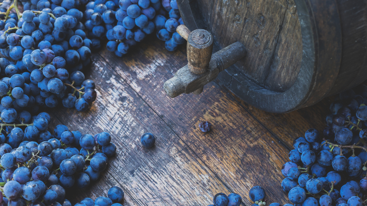 Le Cabernet Franc