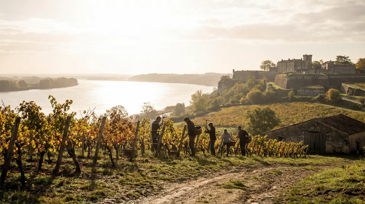 Citadelle de Blaye sur la Gironde, vignes, coteaux et vignerons