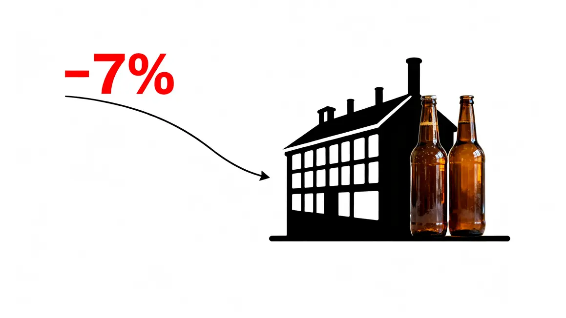 graphique chute consommation biere france