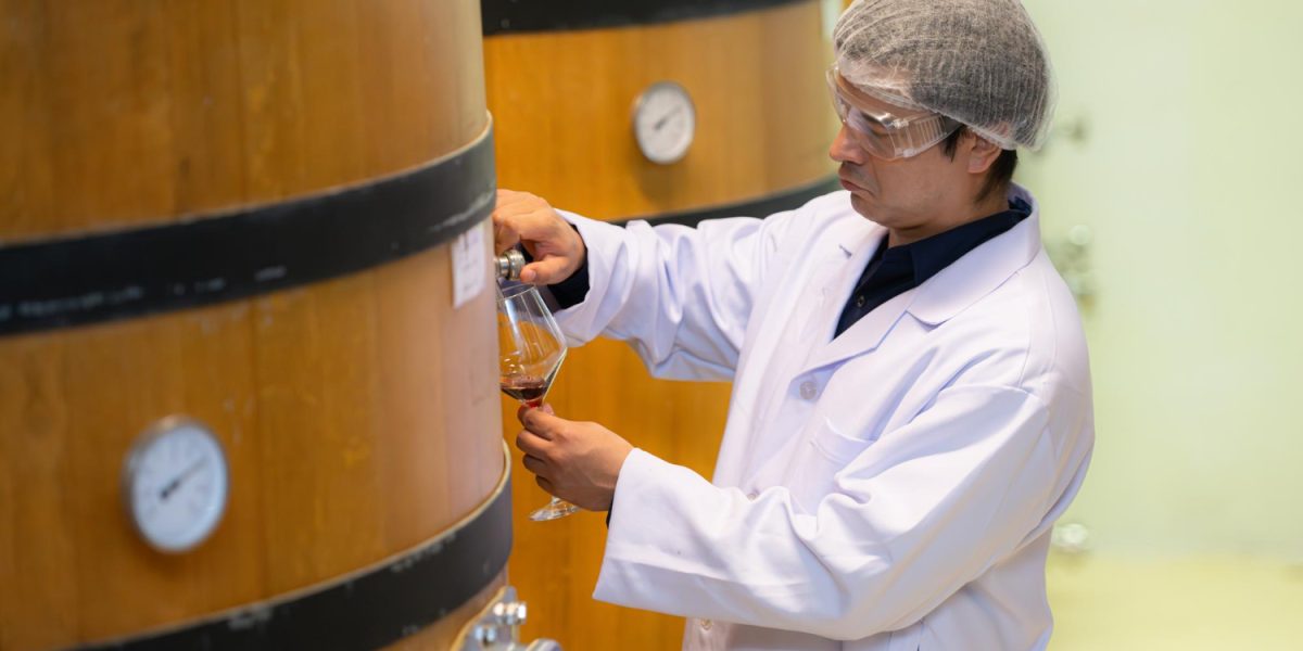 vin vs bière : illustration des matières premières et étapes de production du vin et de la bière