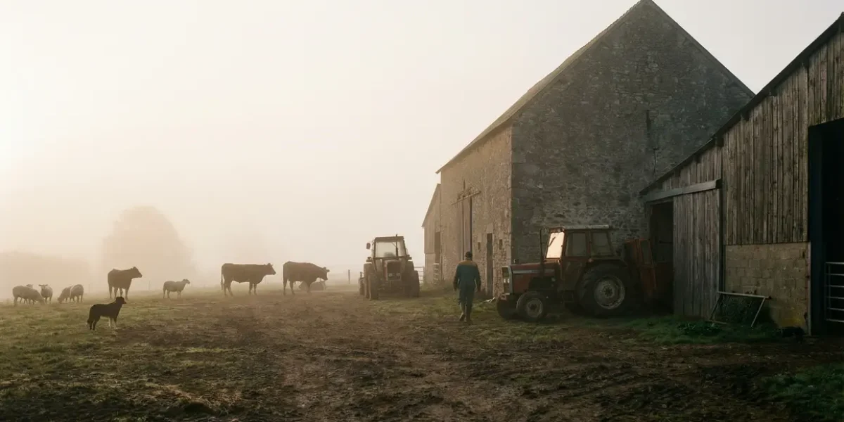 Brume matinale sur une ferme francaise avec animaux et hangars