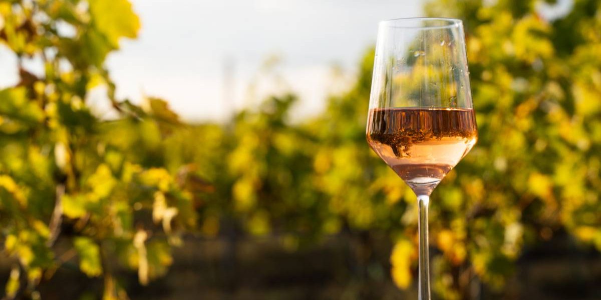 cépages rosé : bouteilles de vin rosé aux teintes séduisantes