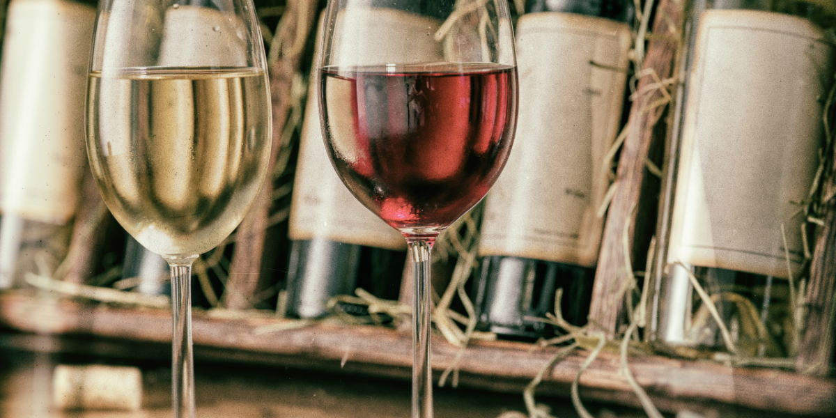 Côtes-du-Rhône : vignobles en terrasses avec paysage de la vallée du Rhône
