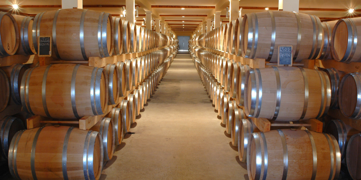 vins : sélection de bouteilles de vin dans une cave à Lyon