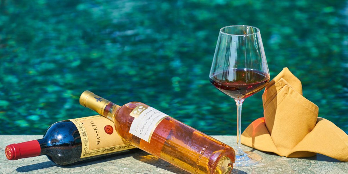régions viticoles françaises : vignoble avec châteaux et vignes en France