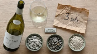 Sancerre vin blanc et trois sols : craie et silex