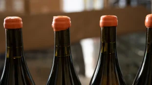 vieillissement du vin le r le d cisif du bouchage featured image