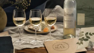 Vin blanc bordeaux : verres de dégustation sec moelleux liquoreux